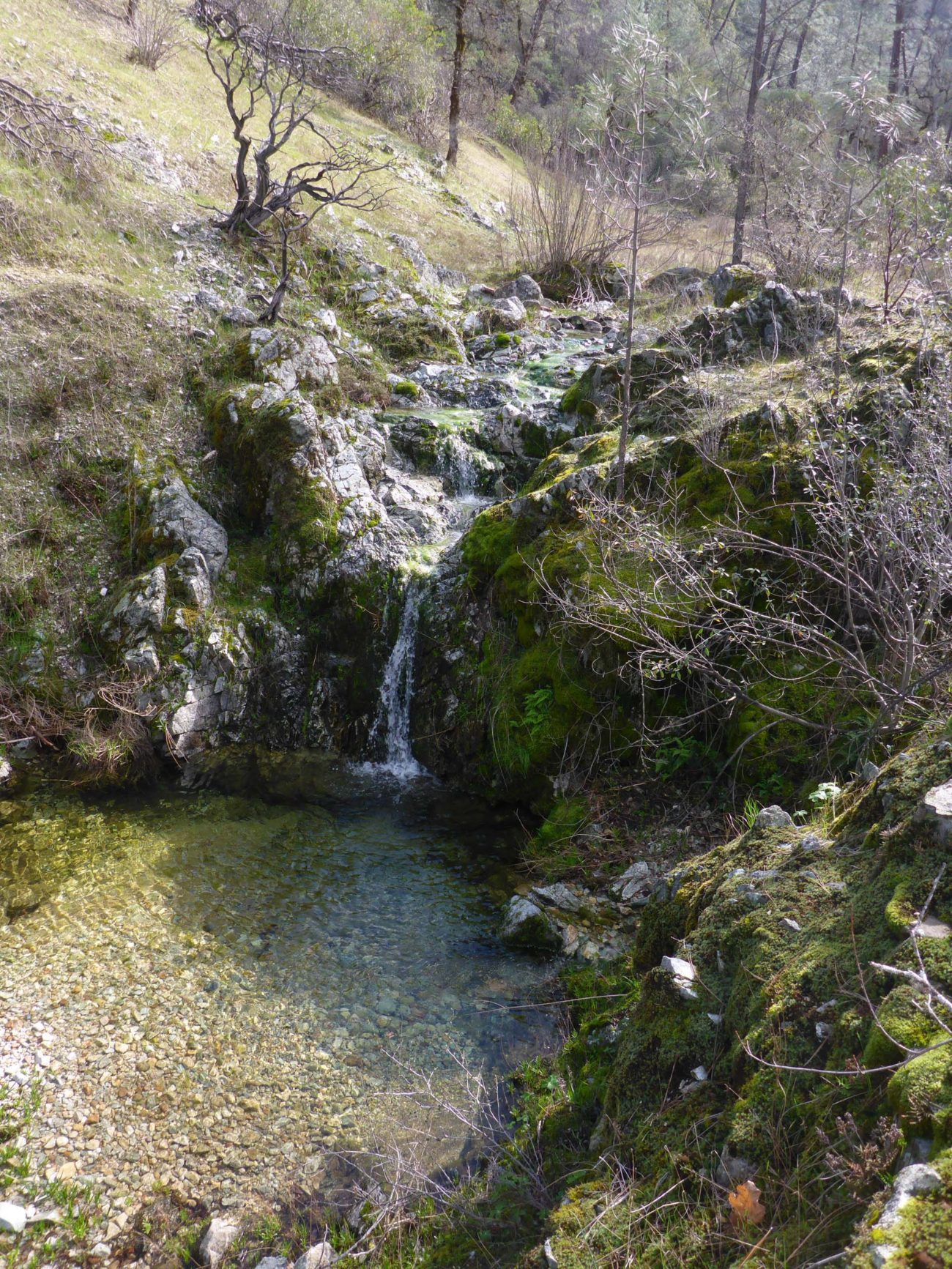 Salt Creek five years ago. D. Burk.