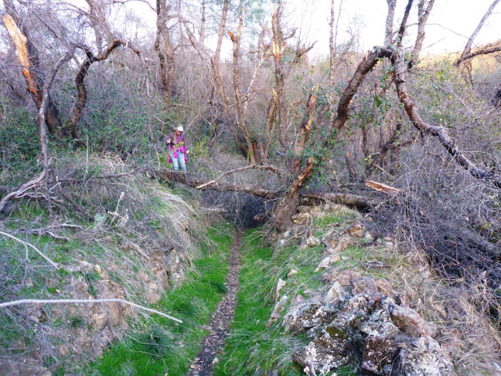 Lower Princess Ditch Trail. D. Burk.