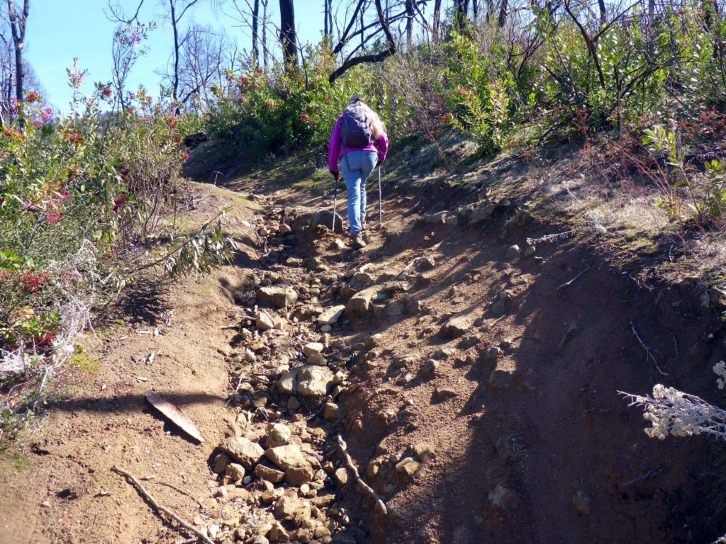 Poor trail conditions. D. Burk.