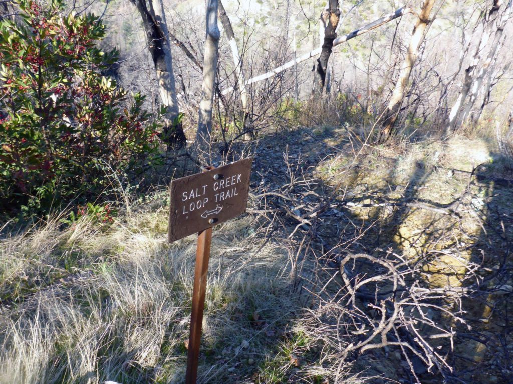 Trail intersection.  D. Burk.