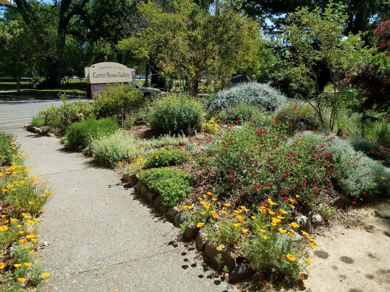 MMH Celebration Garden. D. Mandel.