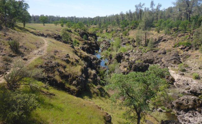 Trail along Paynes Creek. D. Burk.