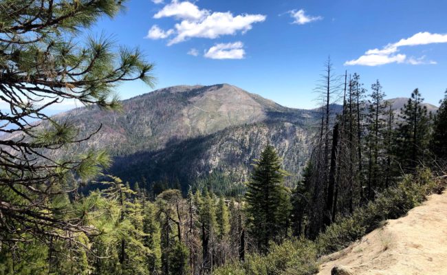 Shasta Bally. C. Harvey.