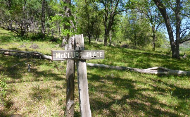 McClure Place homestead site. D. Burk.