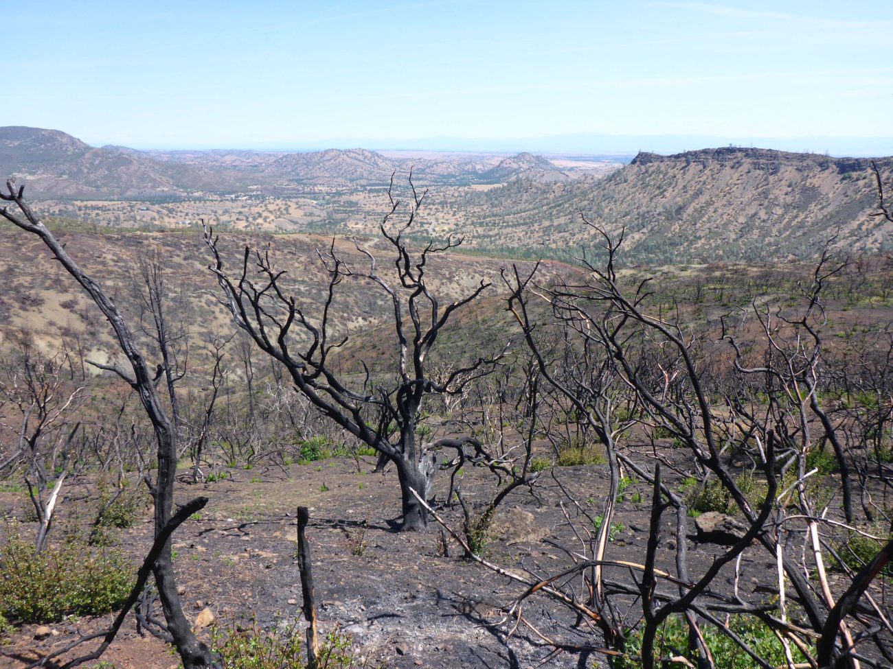 View NE from trail. D. Burk.