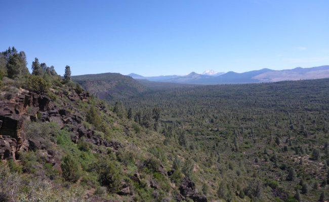 View south along Hat Creek Rim. D. Burk.