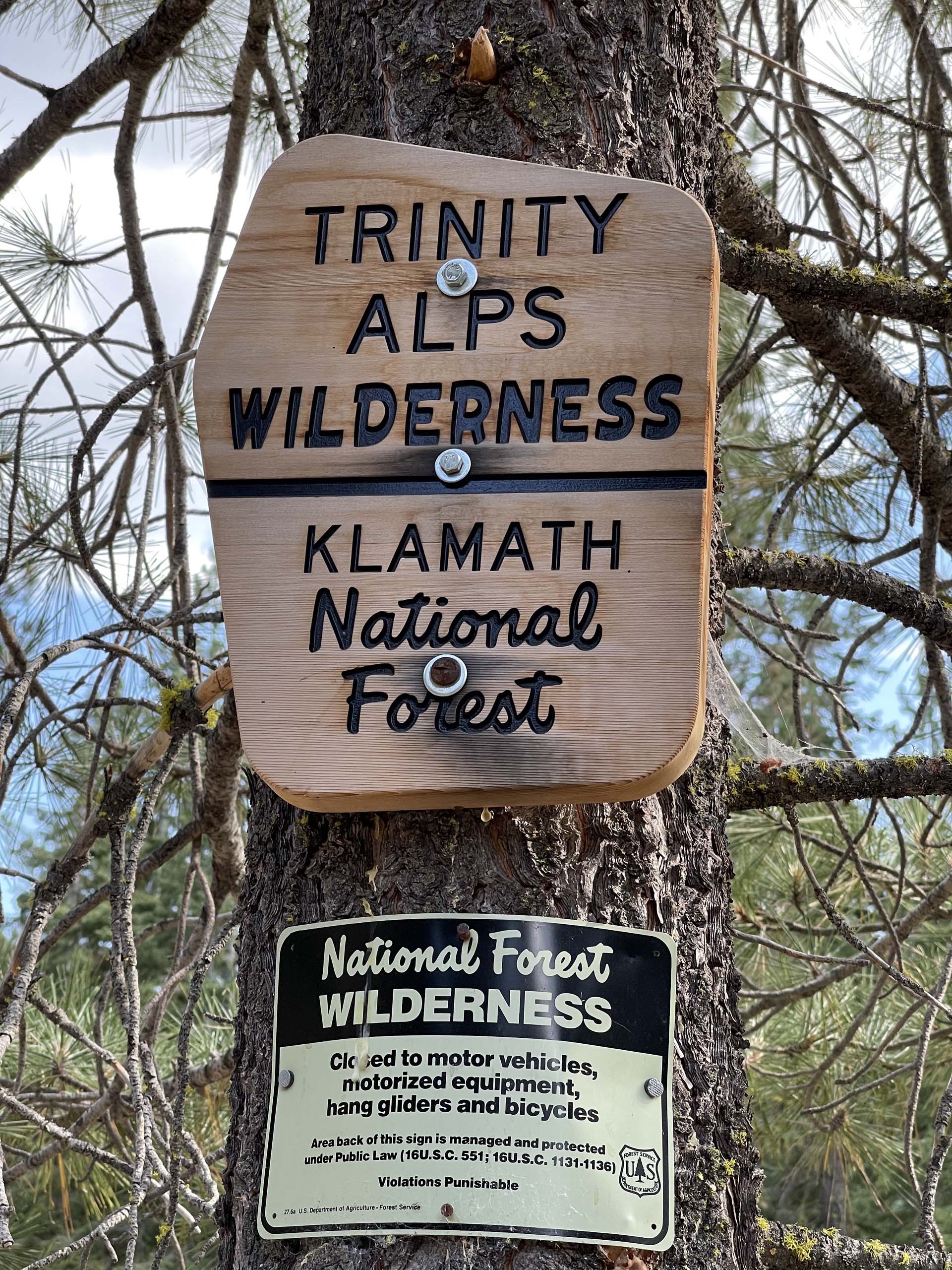 Trinity Alps Wilderness boundary sign. C. Harvey.