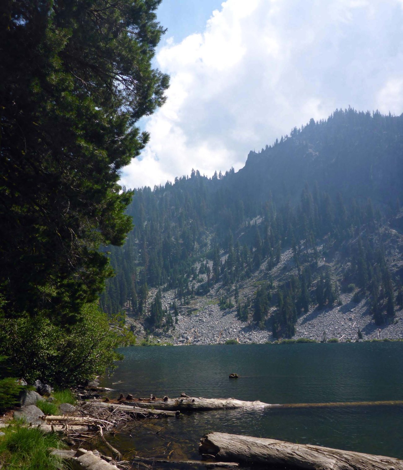 Trail Gulch Lake. D. Burk.