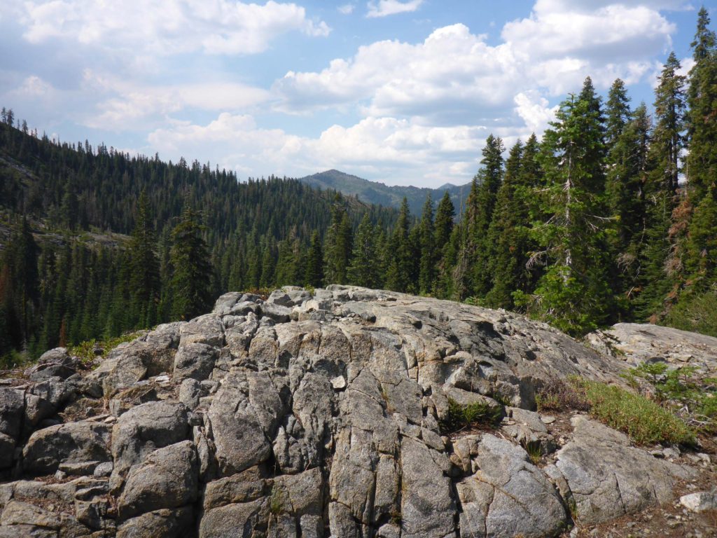 View of Russian Wilderness. D. Burk.