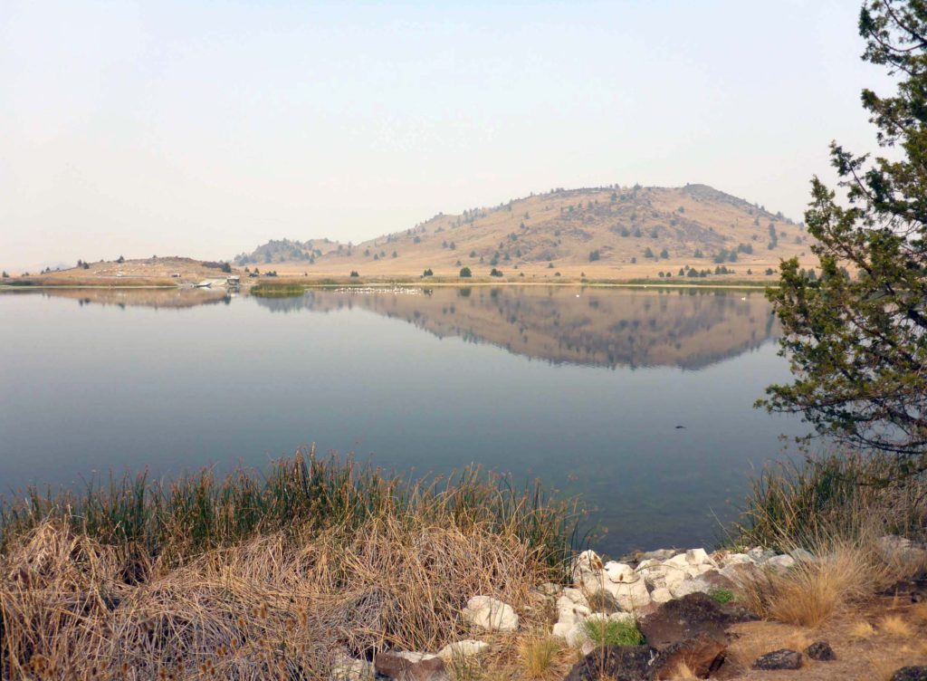 Triout Lake and Steamboat Mountain. D. Burk.