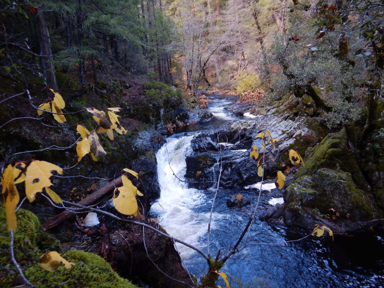 Waterfall. D. Burk.