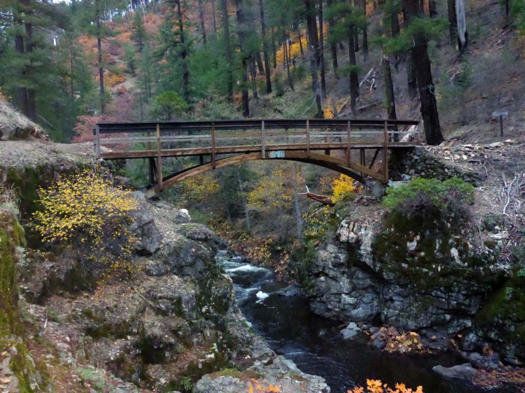 PCT bridge. D. Burk.