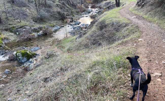 Stella and Upper Salt Creek. C. Harvey.