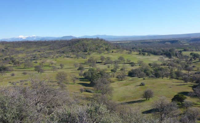 View ESE from point above Osprey Pond. D. Burk.