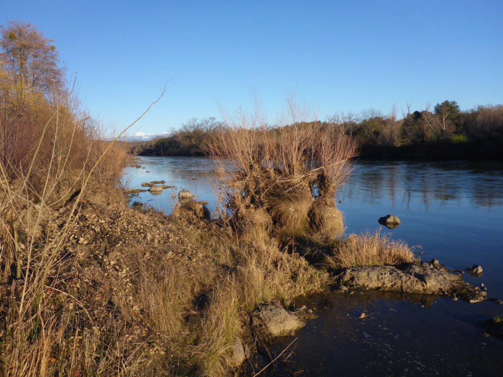 Sacramento River and Mt. Lassen. D. Burk.