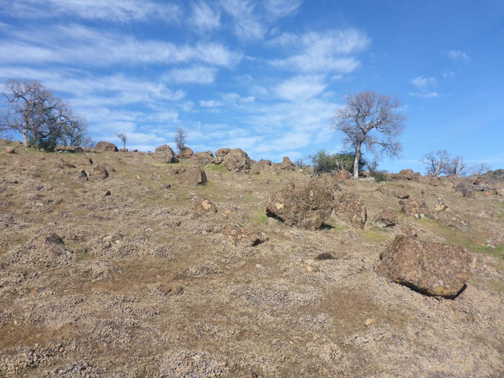 Dry conditions on Hog Lake Plateau. D. Burk.