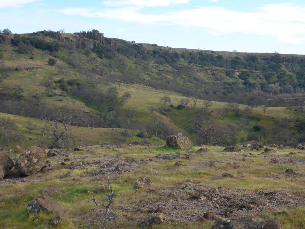 Jedidiah's Overlook. D. Burk.