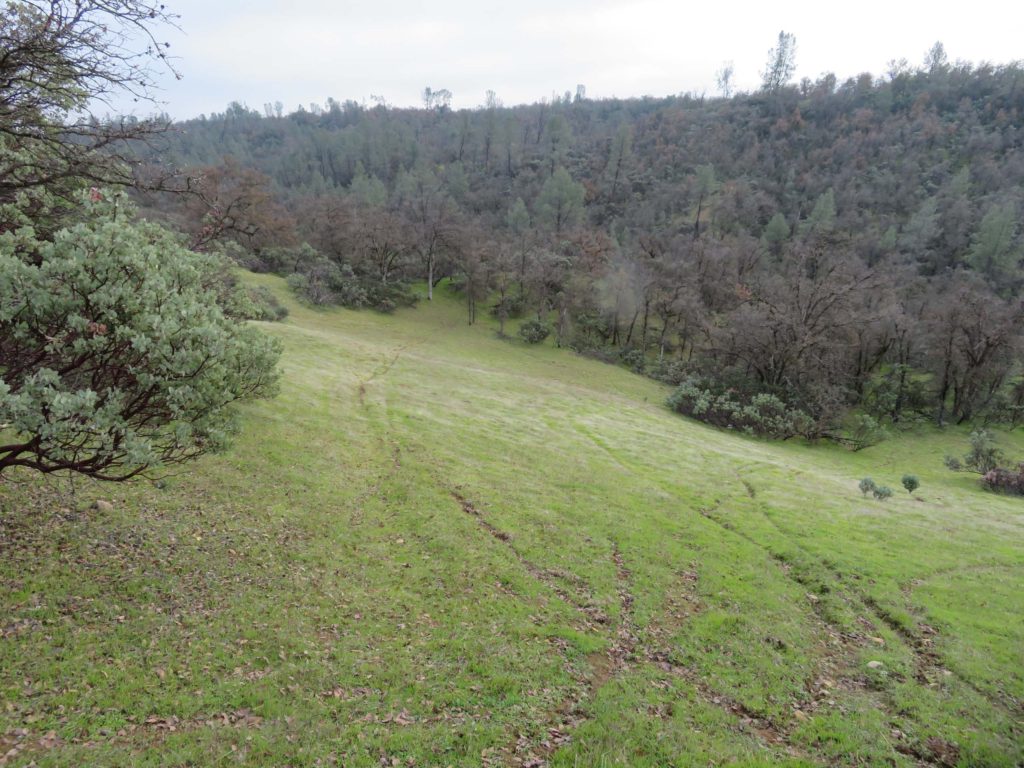 Oregon Gulch dirt bike tracks. D. Ledger.