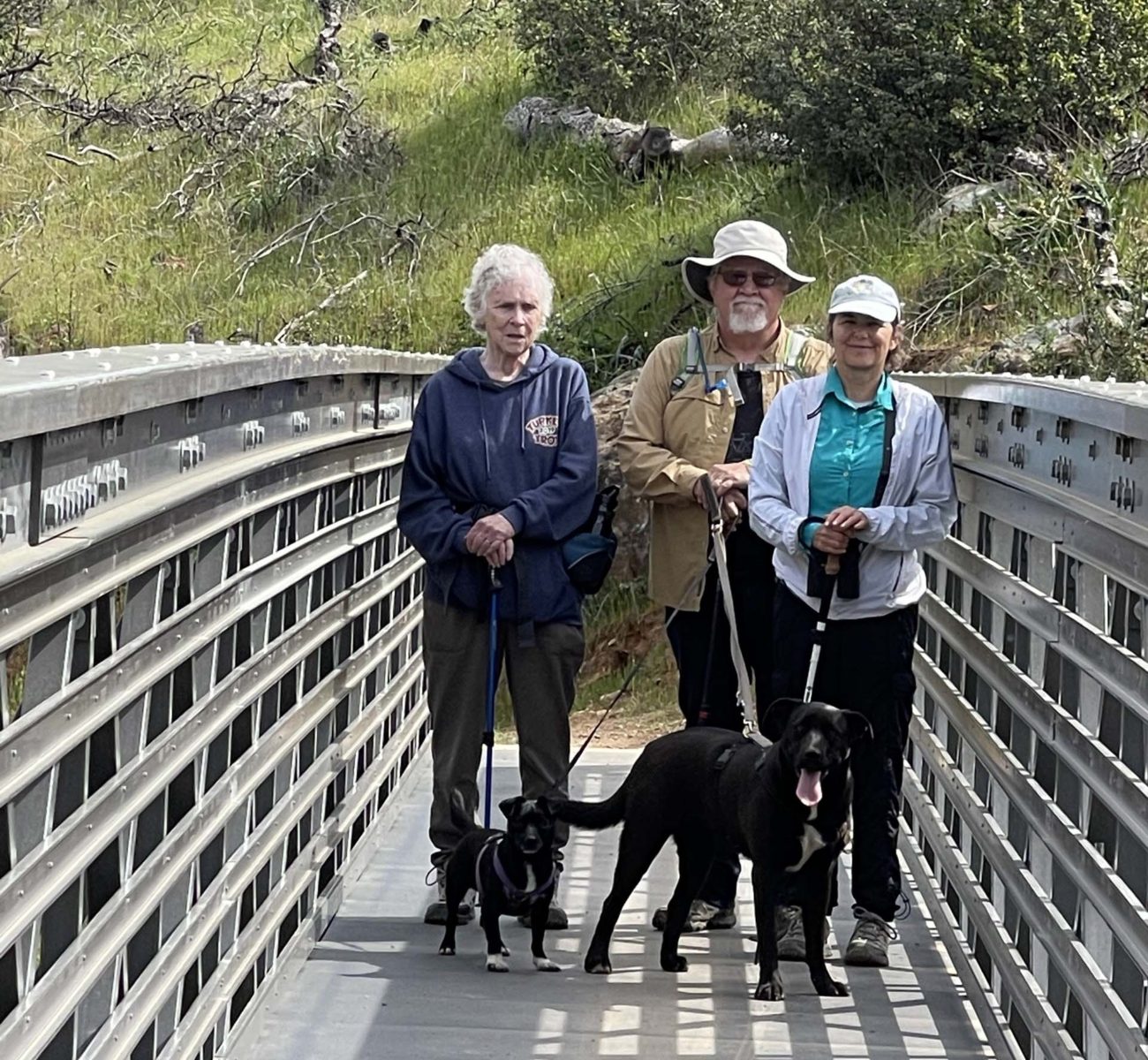 Hike attendees. C. Harvey.