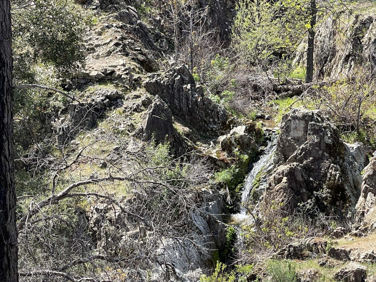 Middle Creek waterfall. C. Harvey.