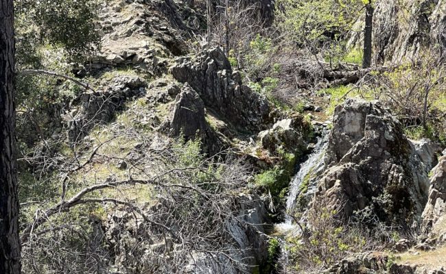 Middle Creek waterfall. C. Harvey.