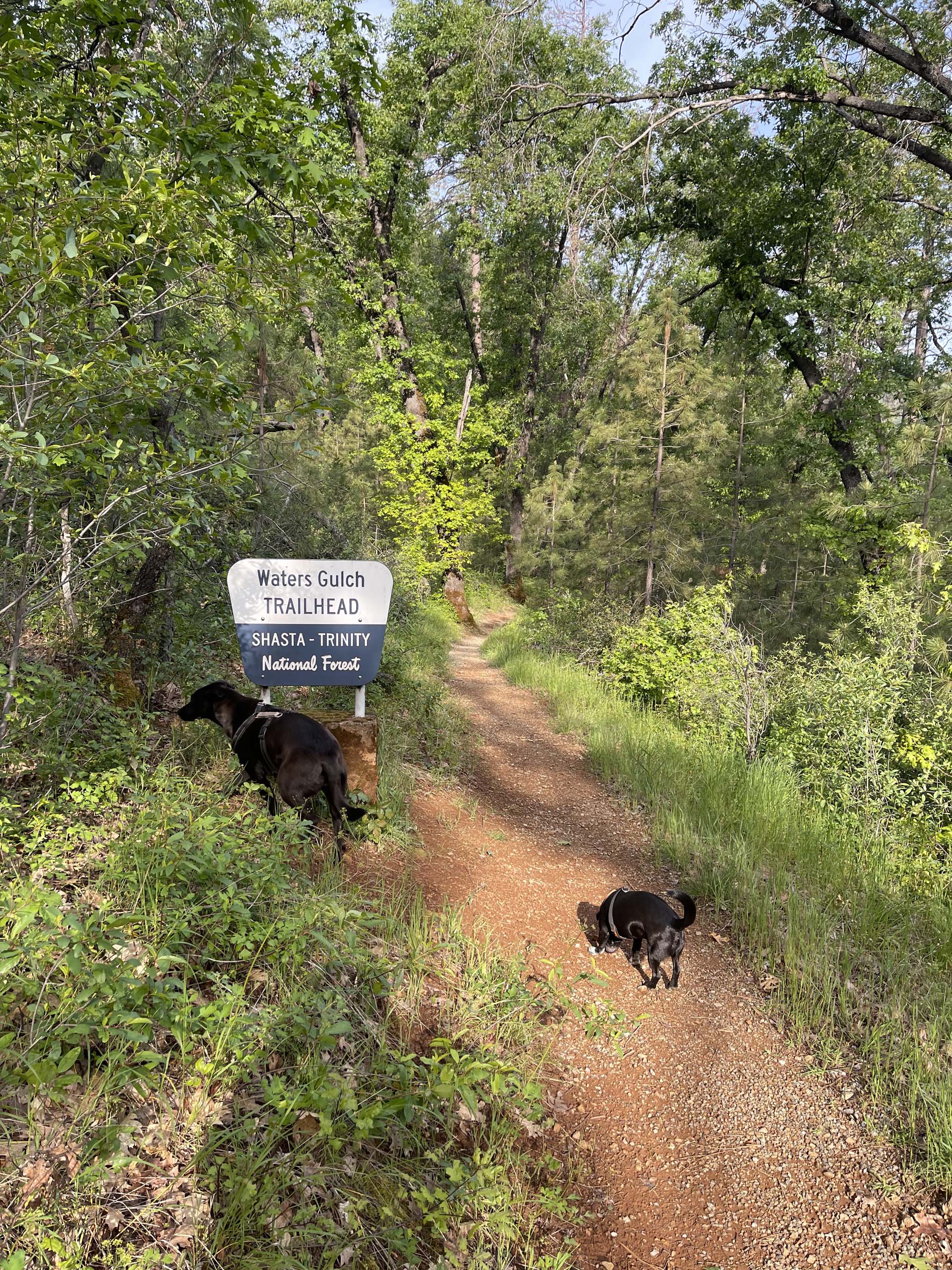 Trailhead. C. Harvey.