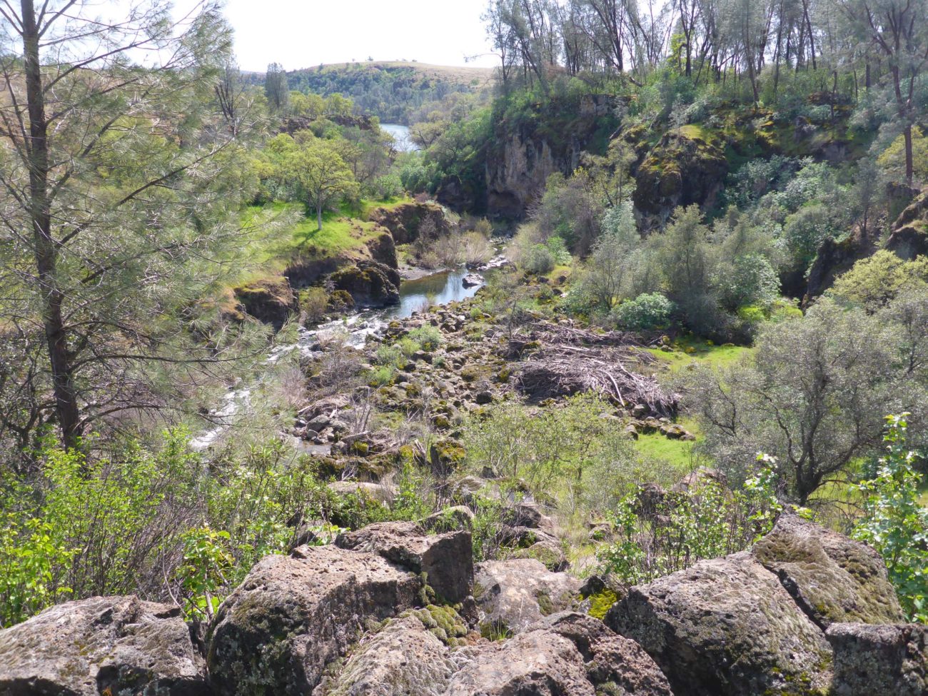 View from Emu's End. D. Burk.