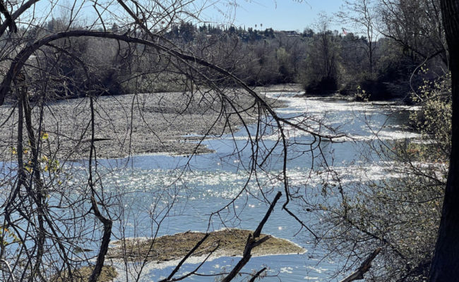 Sacramento River. SEA.