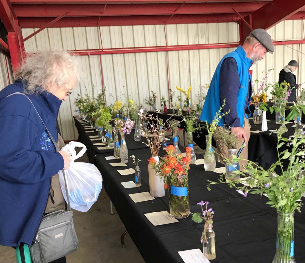 People at the wildflower show. S. Libonati-Barnes.