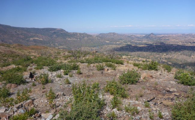 View from trail. D. Burk.