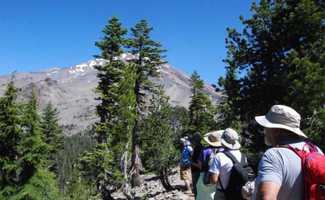 Hikers on trail; Mt. Shasta. P. Witt.