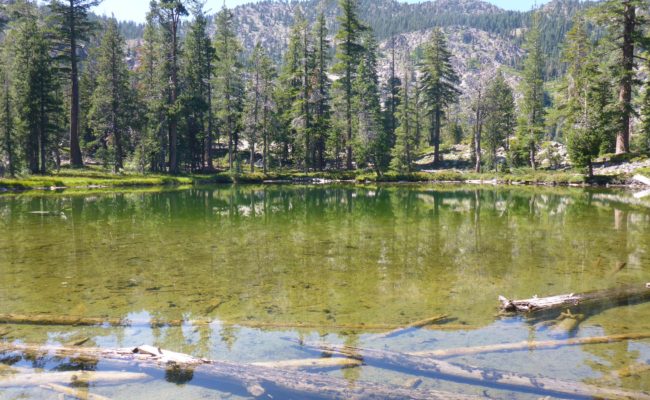 Upper Caldwell Lake. D. Burk.