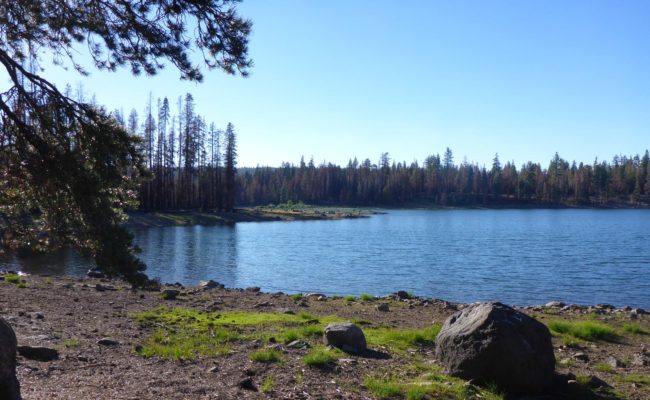 Caribou Lake. D. Burk.