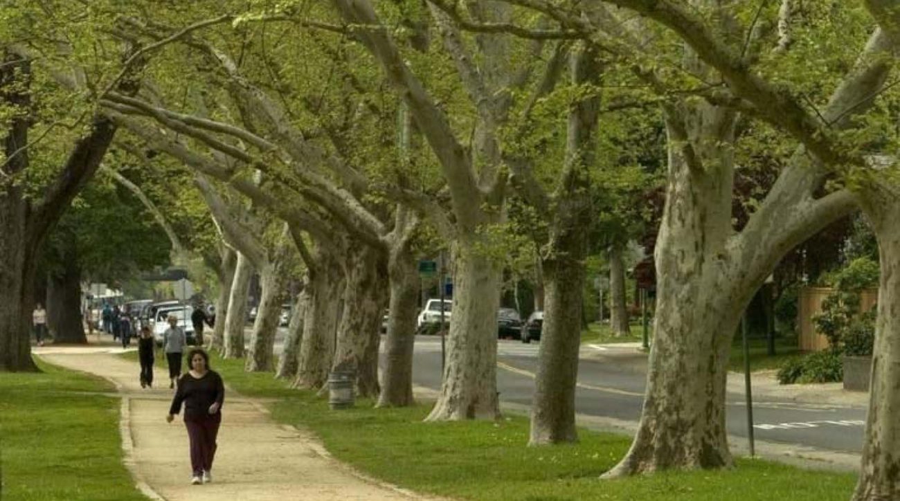 Sacto street scene. City of Sacramento.