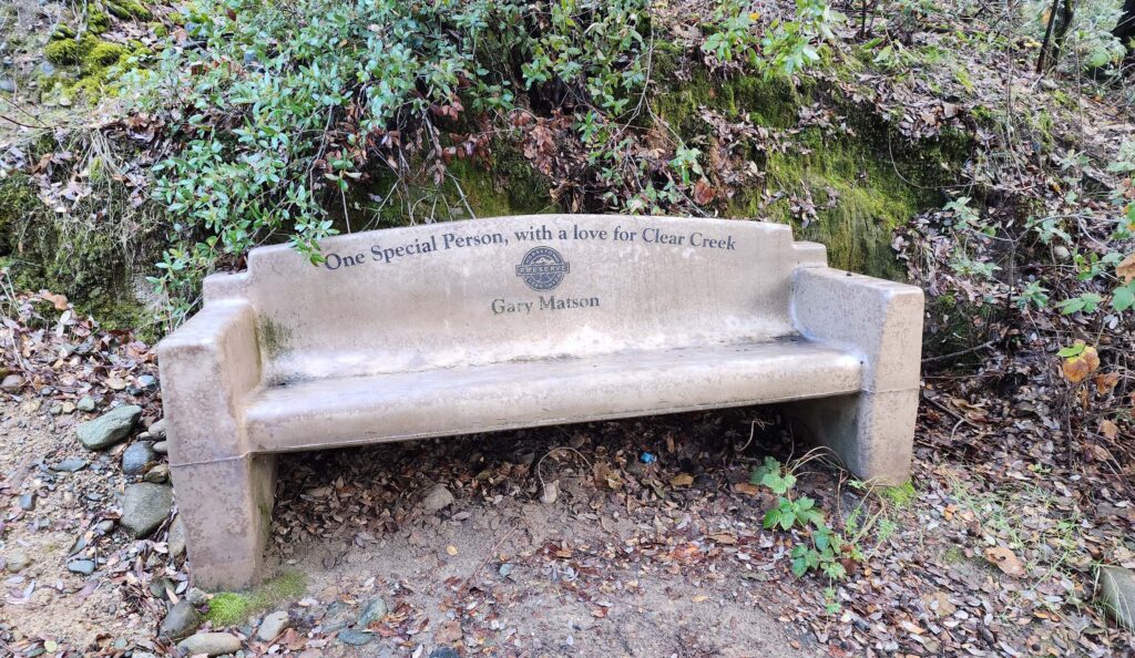 Memorial bench for Gary Matson. D. Burk.