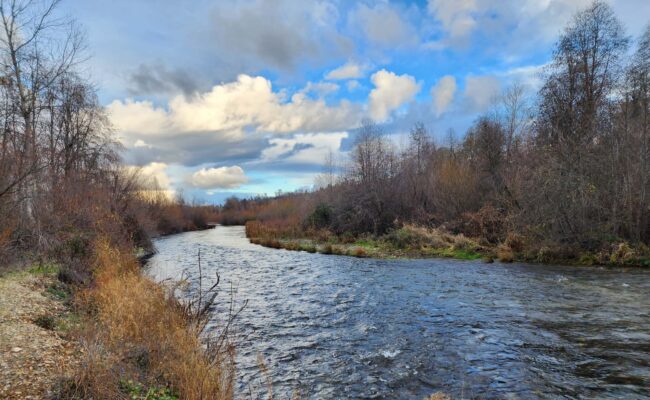 Clear Creek. D. Burk.