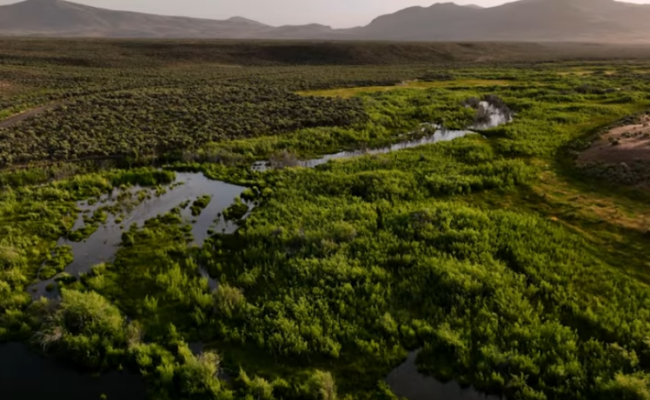 Willow Creek, Humboldt Ranch, Nevada. Little Wild.