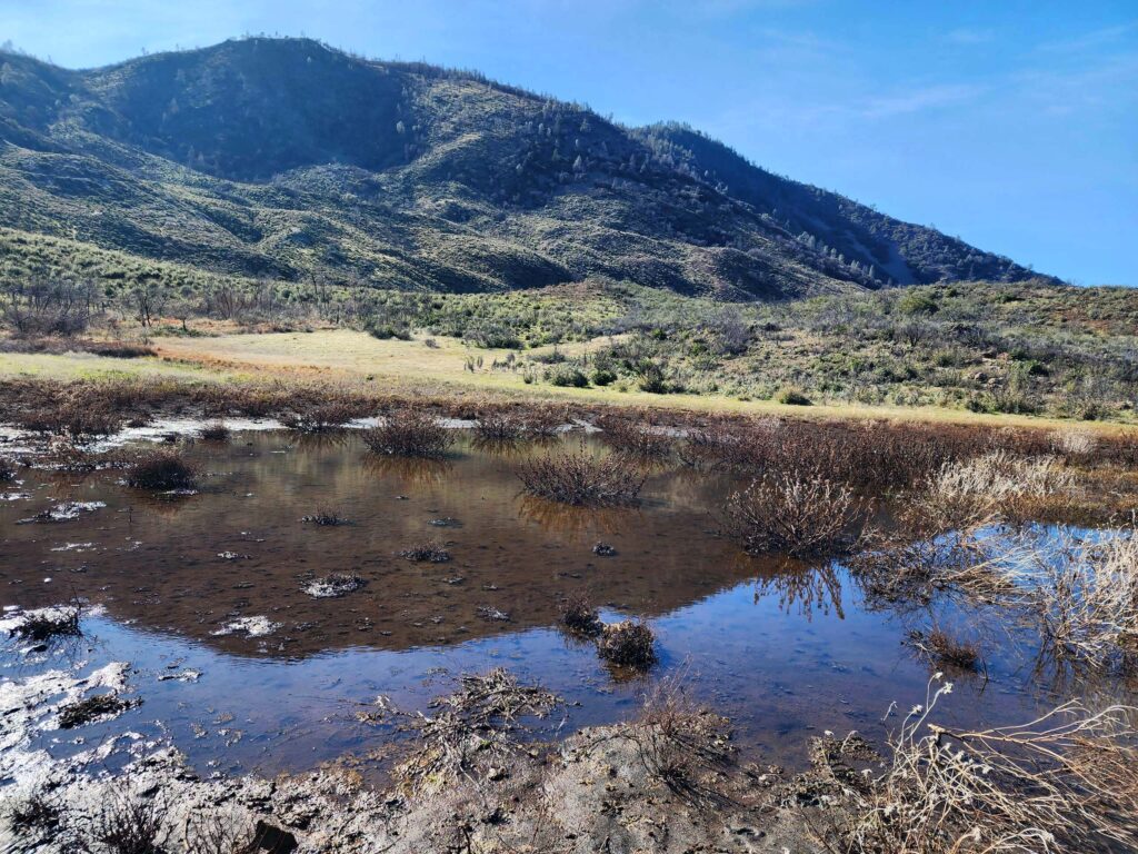 Dead Rabbit Lake. D. Burk. 12 Feb 2023. Nomlaki.