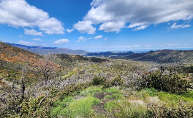 View northeast. D. Burk.