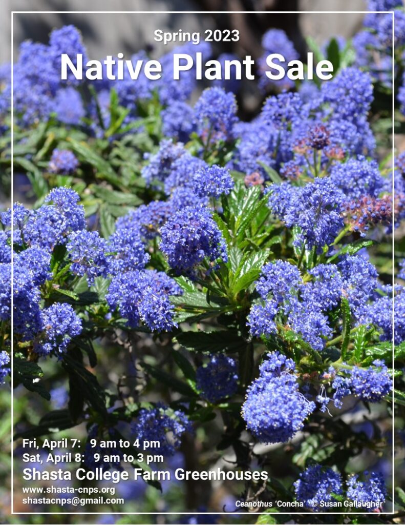 Spring 2023 Native Plant Sale Flyer.  S. Gallaugher.