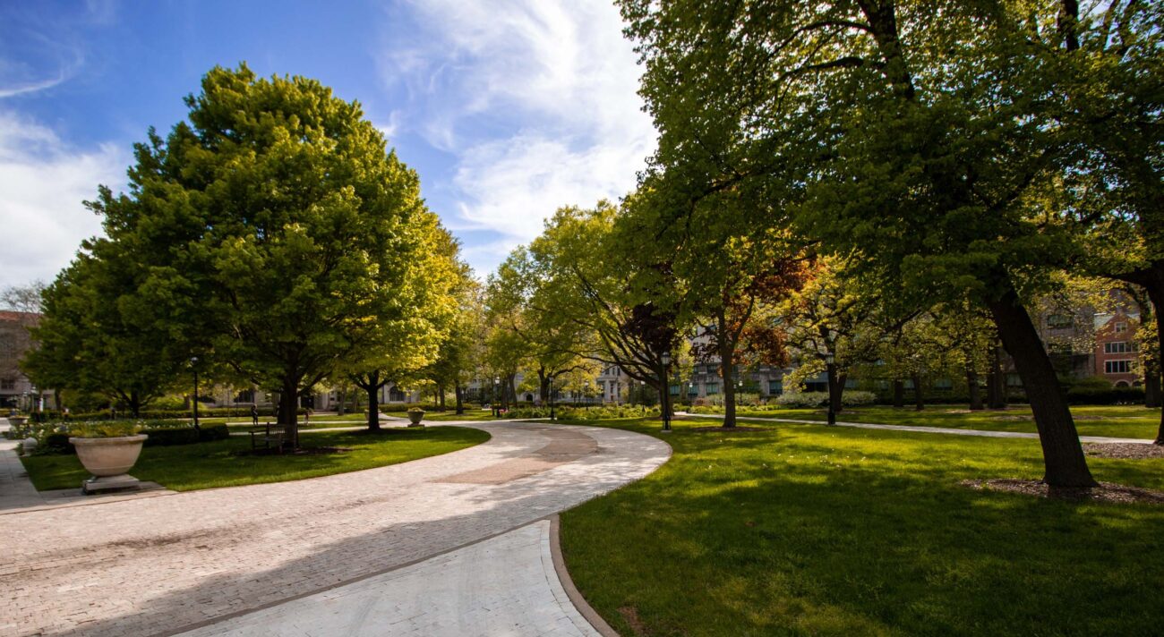 Stree-lined Chicago street.. S. Kolomiyets