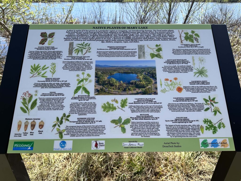 Mary Lake plant sign closer look. A. Henderson.