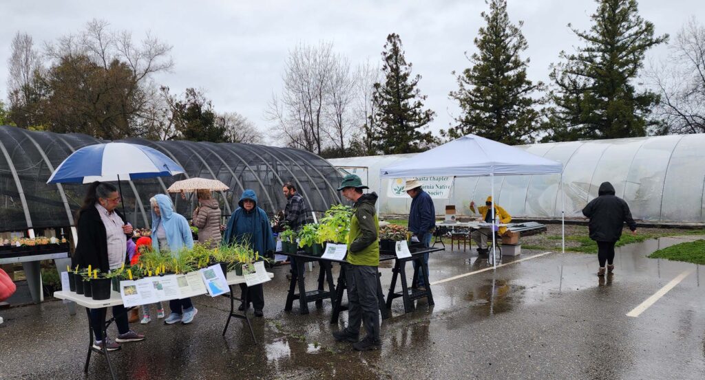 Spring 2023 plant sale. D. Burk.