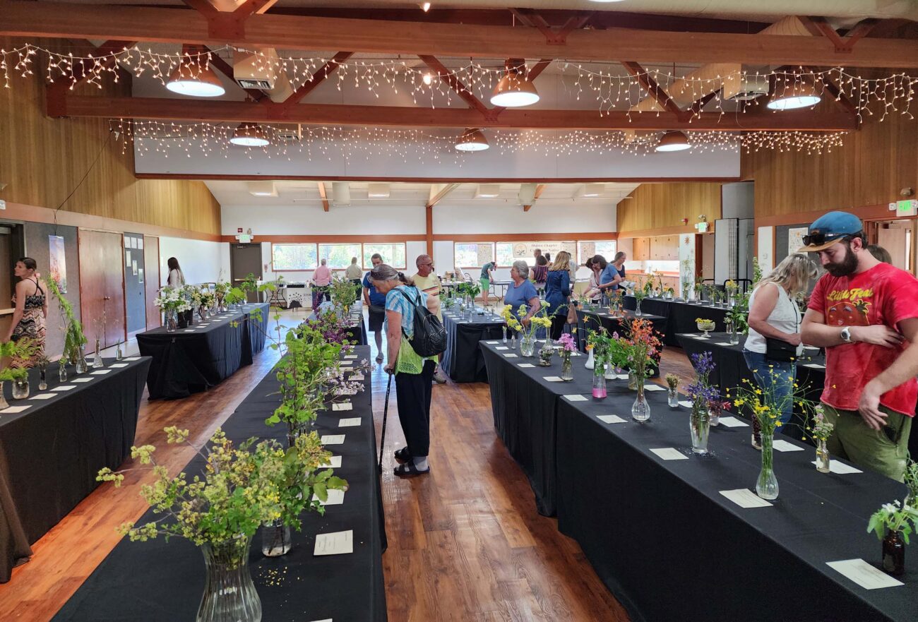 Inside Yreka Community Center. D. Burk.