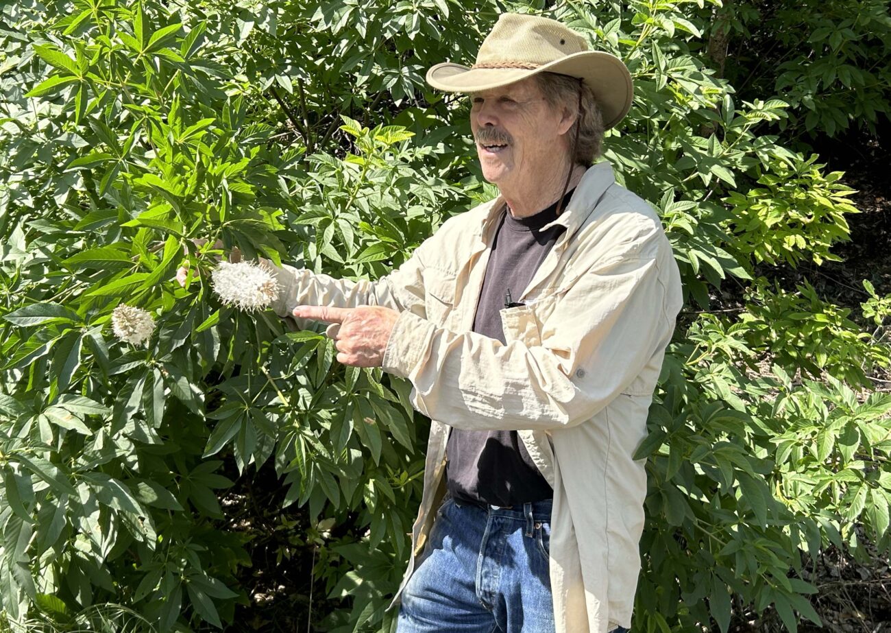 David Ledger and CA buckeye. MA McCrary.