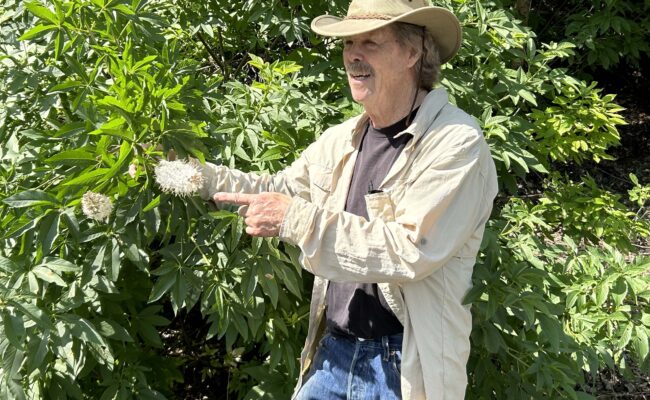 David Ledger and CA buckeye. MA McCrary.