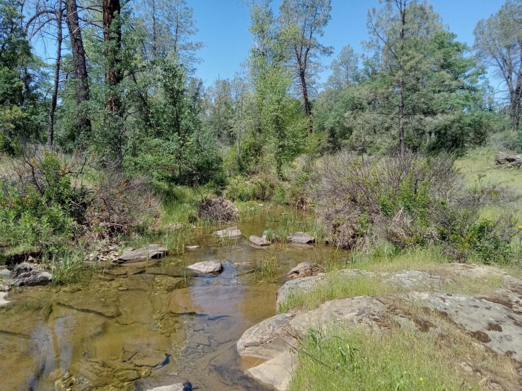 Sulphur Creek. D. Ledger.