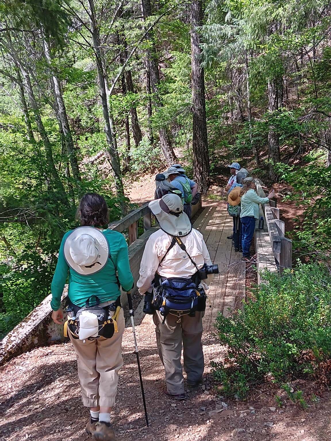 Bridge over Squaw Valley Creek. B. Robertson. June 17, 2023. Cabin Creek Trail, south of McCloud.