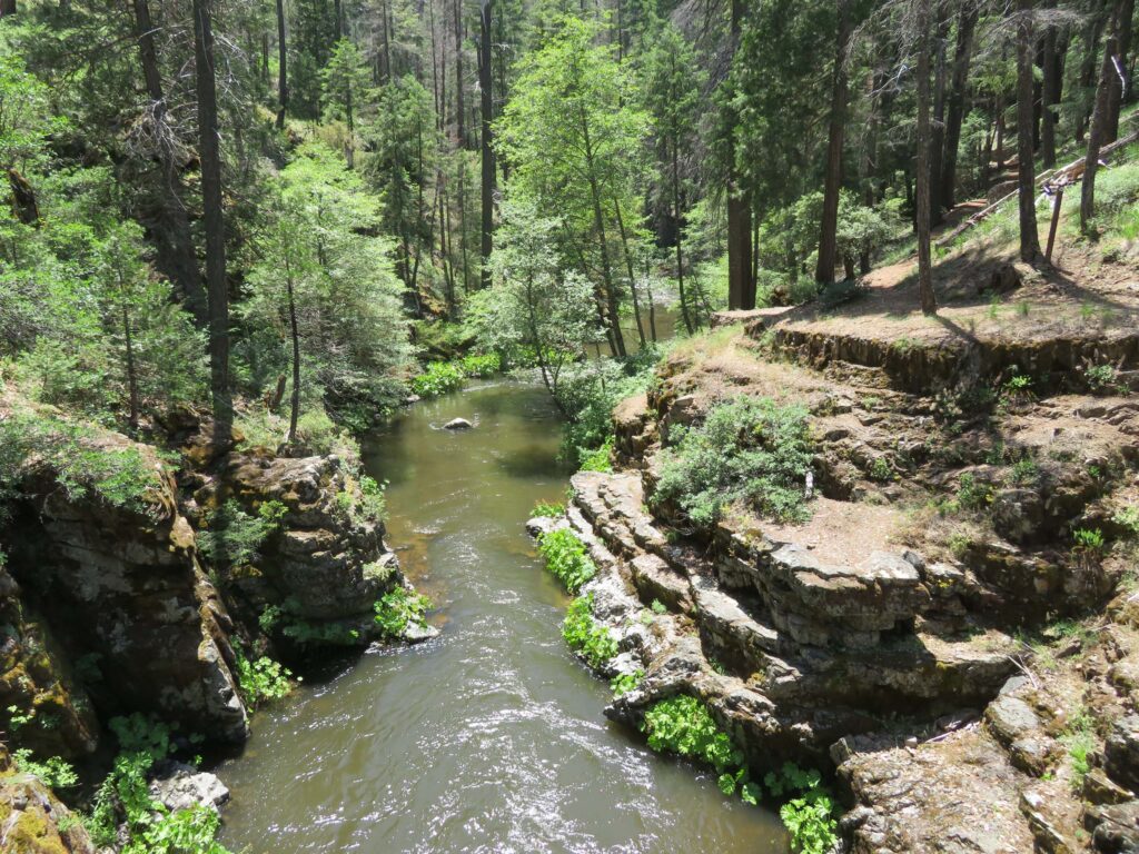 Squaw Valley Creek. D. Ledger.