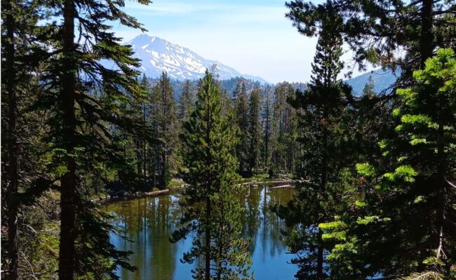 Caldwell Lake and Mt. Shasta. B. Robertson.